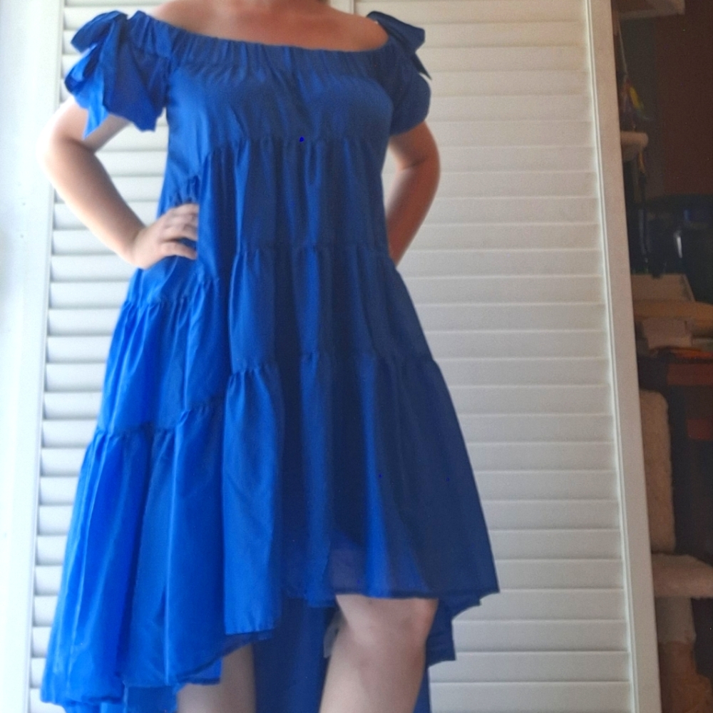 Anthropologie Blue Ruffled Chiffon High-Low Dress - Picture 2 of 16